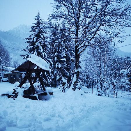 Cabana Valea Rea, Boga Boga (Bihor) Exterior foto