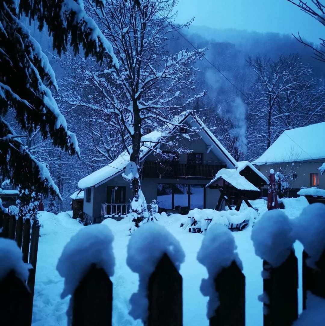 Cabana Valea Rea, Boga Boga (Bihor) Exterior foto