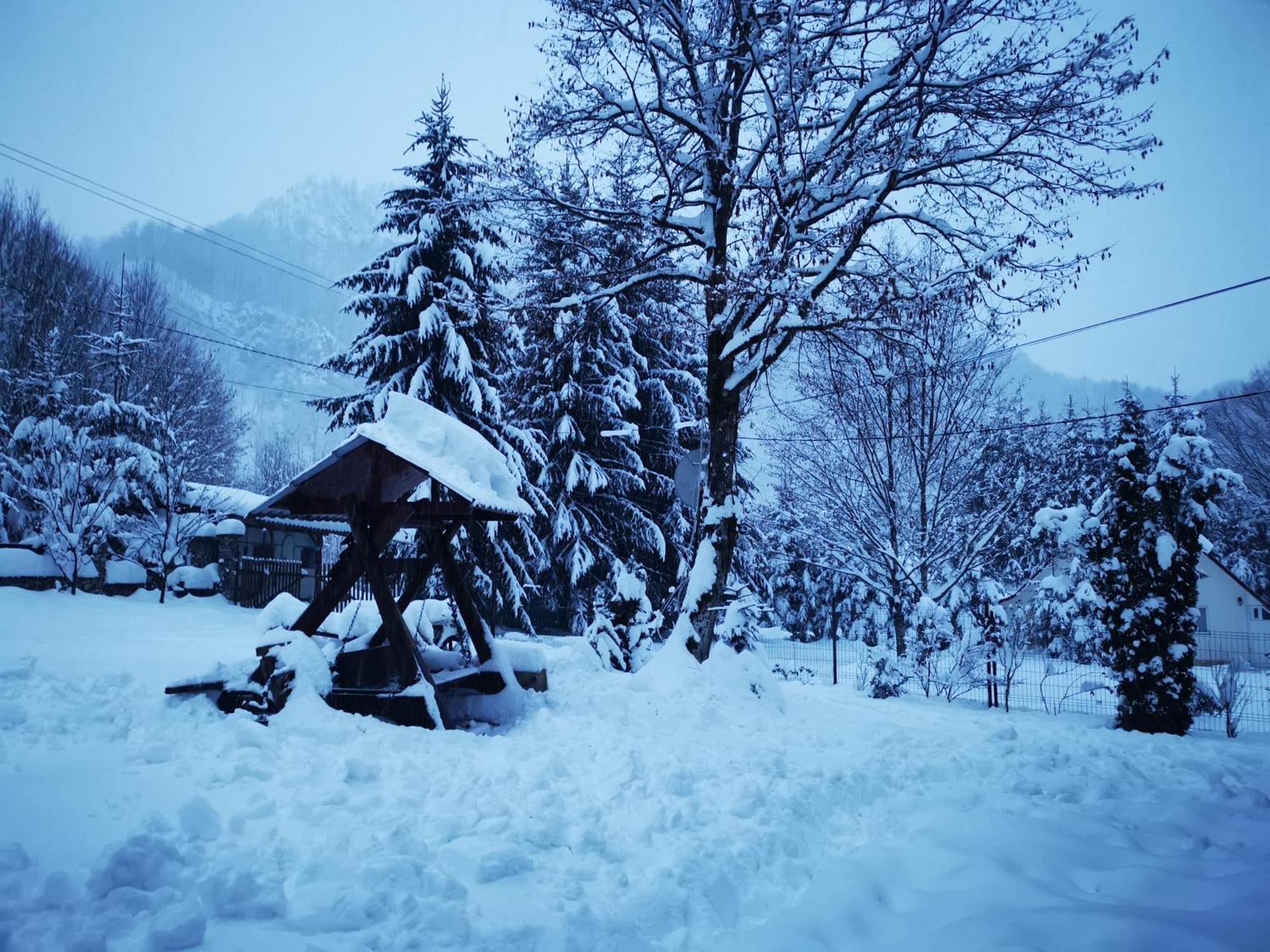 Cabana Valea Rea, Boga Boga (Bihor) Exterior foto