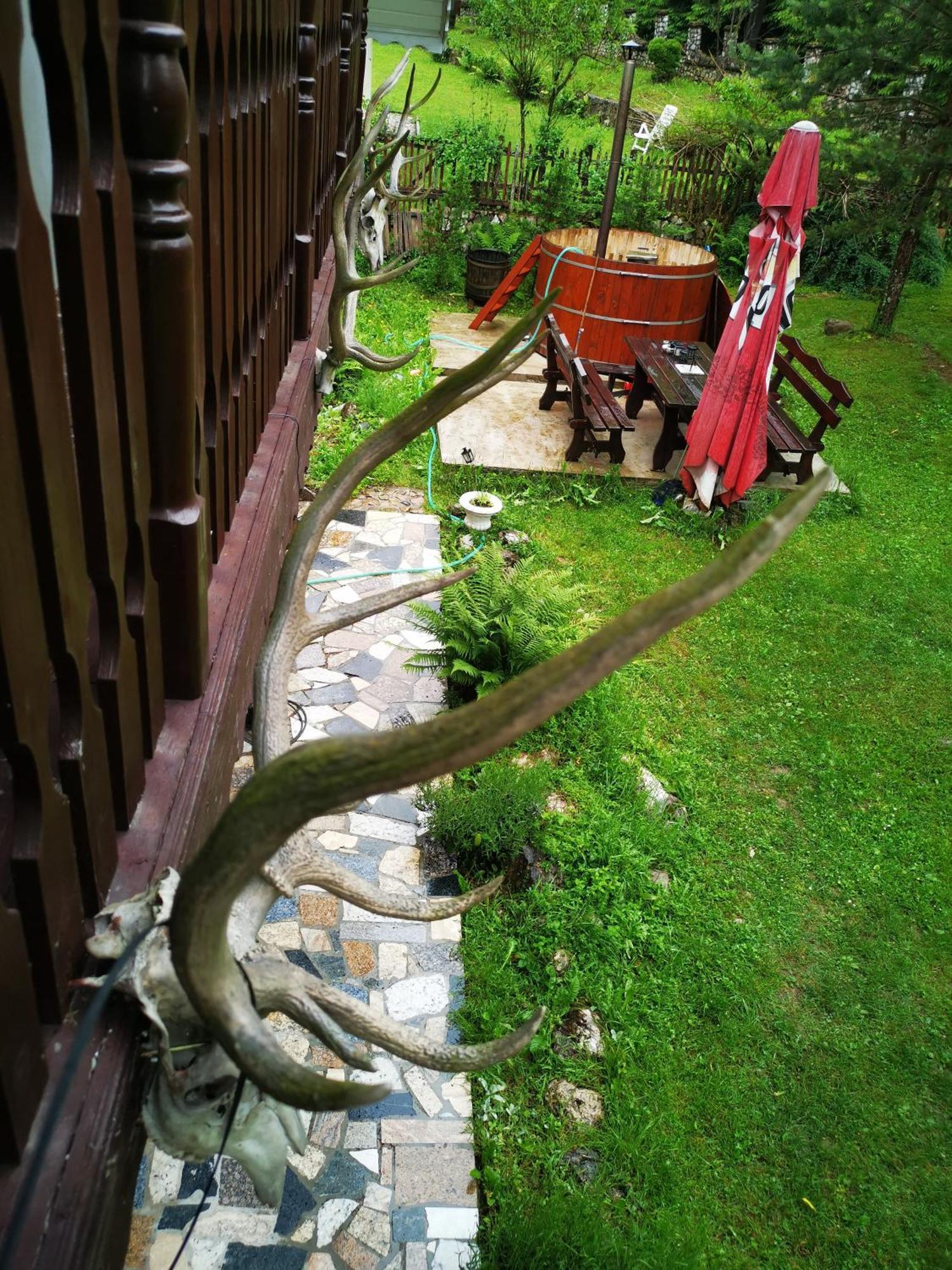Cabana Valea Rea, Boga Boga (Bihor) Exterior foto